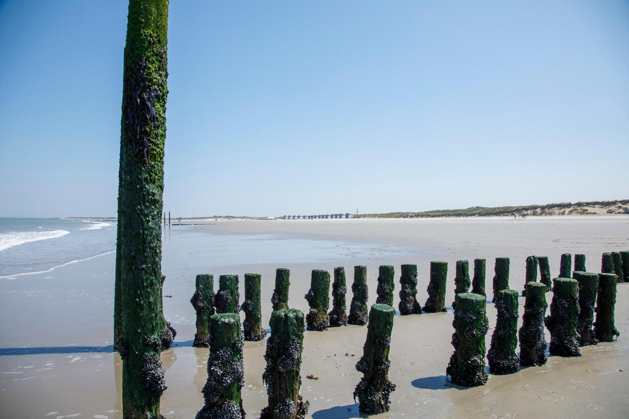 Zonneweelde, Vakantie Aan Zee Нювлиет Екстериор снимка